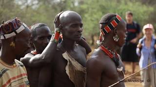 Bull Jumping Ritual  Hamar Tribe Ethiopia [upl. by Gapin]