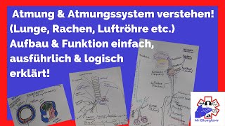 PRÜFUNGSWISSEN 1 Atmung Lunge Atemwege amp Atmungssystem im Rettungsdienst Pulmo Larynx Trachea [upl. by Pallua]