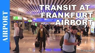 TRANSIT WALK AT FRANKFURT Airport FRA Terminal 1  Connection Flight Transfer Arriving amp Departing [upl. by Cindelyn]