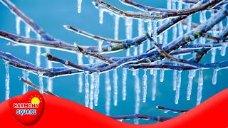 Freezing  More Grades 35 Science on the Learning Videos Channel [upl. by Vivia]